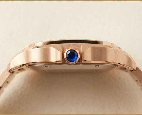 Cartier Santos de Cartier Large Model Gallery